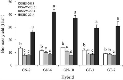 Bioethanol Potential of Energy Sorghum Grown on Marginal and Arable Lands